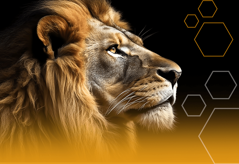 IRPF 2026: por que se organizar agora e como evitar estresse na entrega da declaração